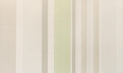 Обои Elysium Серия Симпл компаньон 74200